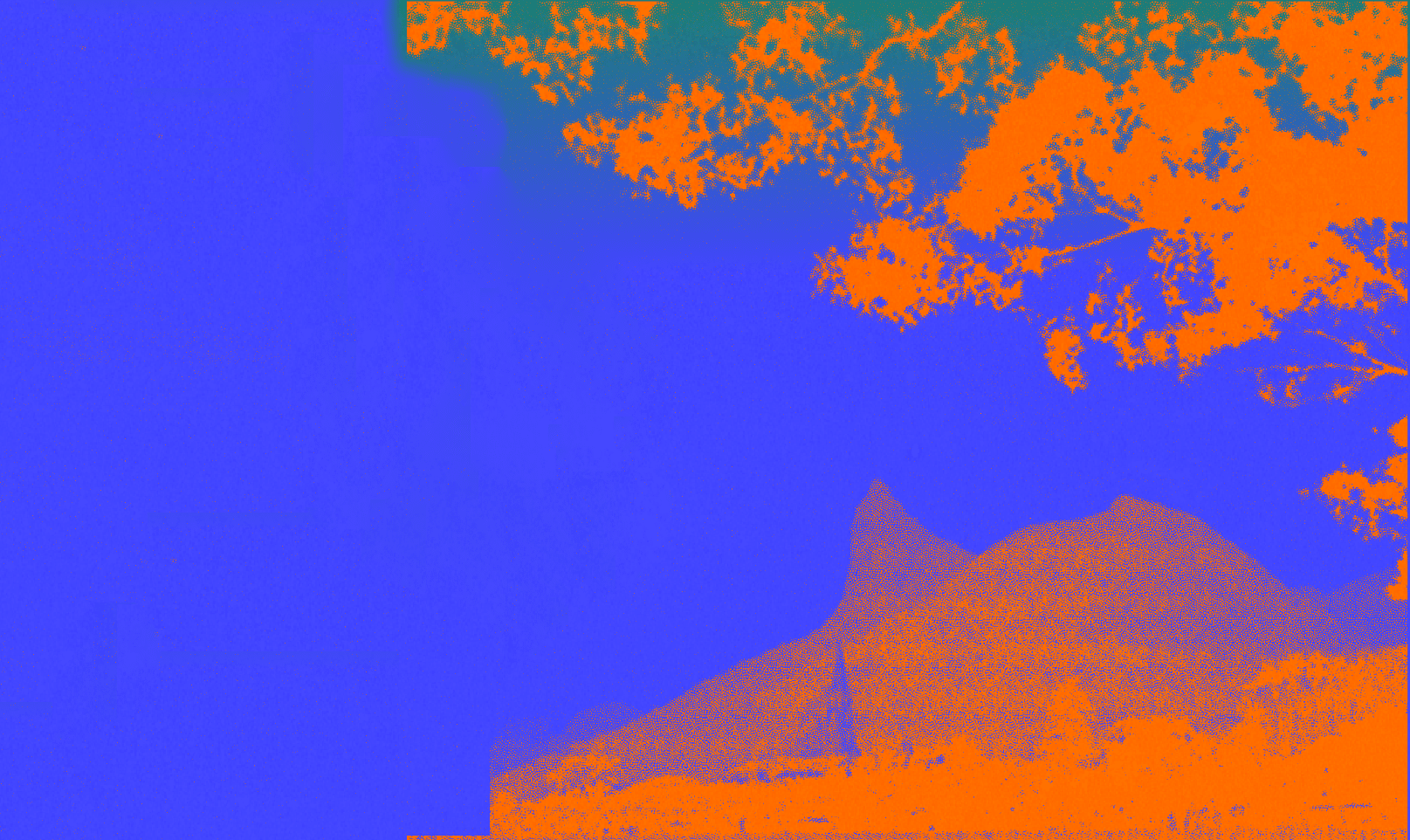 France-Brazil Season – Voices and Suns of the Peripheries